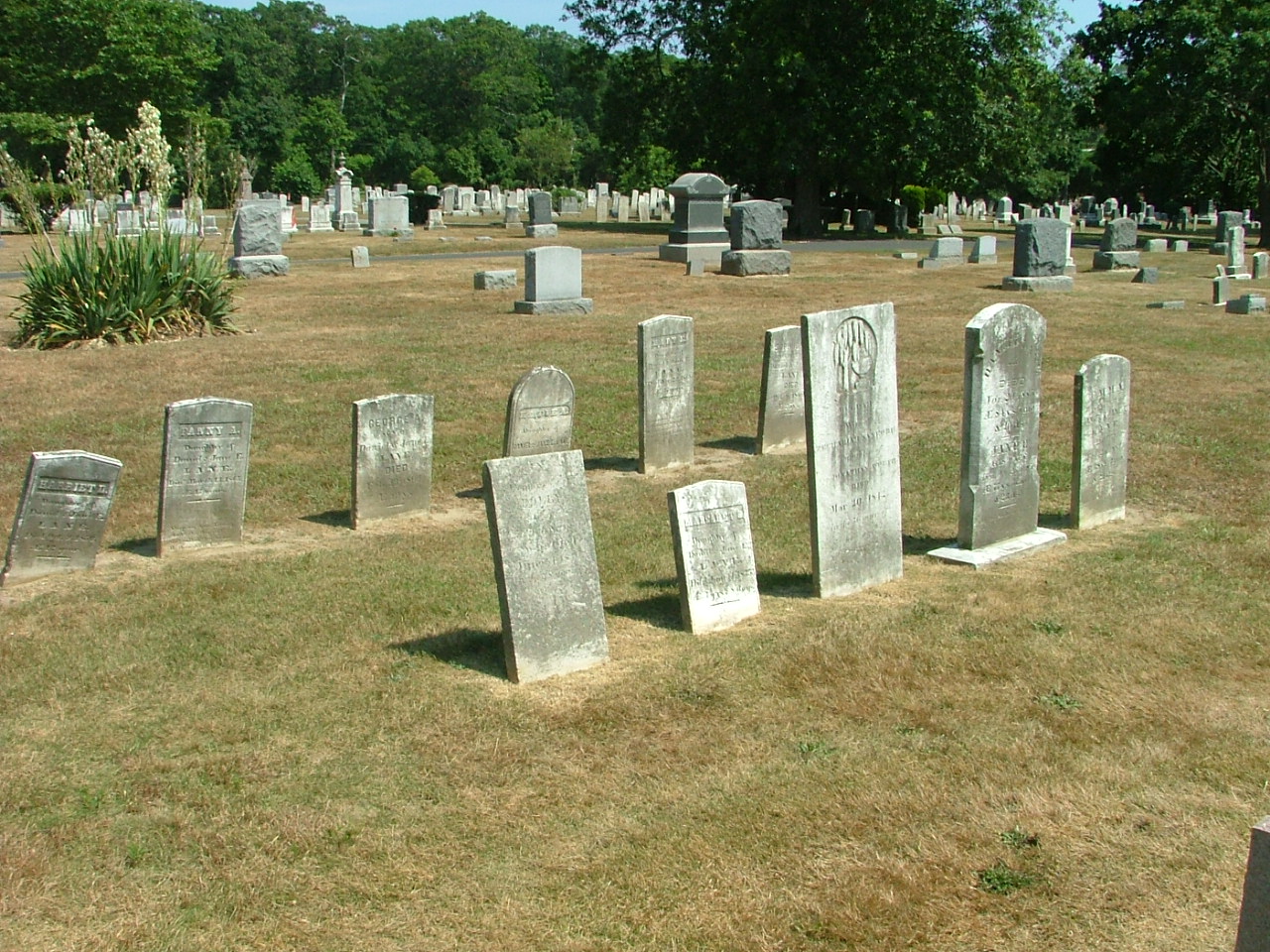 Lane Family Tombstones